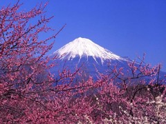 富士山图片