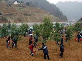 北京出发_ 怀柔红螺寺-植树基地1日团队游 踏青