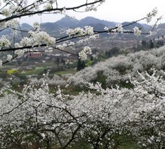 统景风景区图片