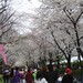 浅草雷门观音寺