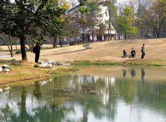 太子湾公园图片