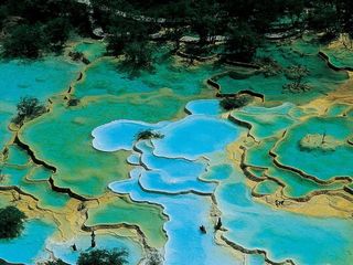 黄龙