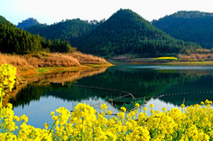 美丽的湖图片