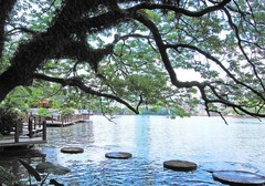 西湖图片