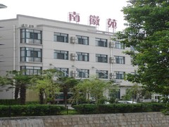 黄山松精神图片