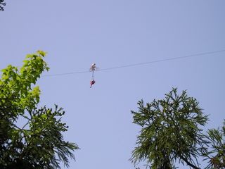 灵岩飞渡