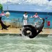 上海野生动... 海狮表演1