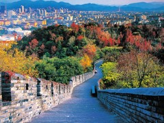 中关村图片