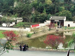 中关村图片