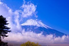 日本旅游签证需要几天_日本旅游签证最快需要